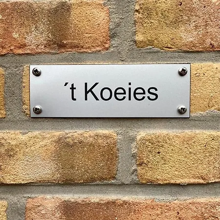 De Vrije Wil Apartment Buren  Exterior photo